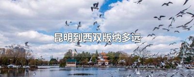 ​昆明到西双版纳多远