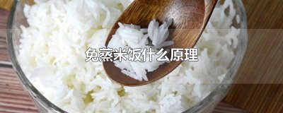 ​免蒸米饭什么原理