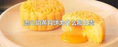 ​流心奶黄月饼为什么那么贵