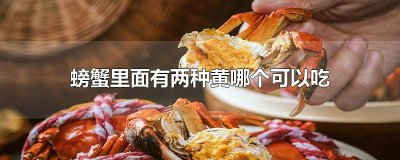 ​螃蟹里面有两种黄哪个可以吃
