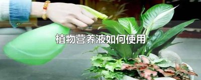 ​植物营养液如何使用 植物营养液如何使用可以生根