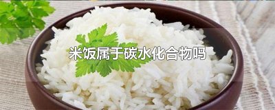 ​米饭属于碳水化合物吗