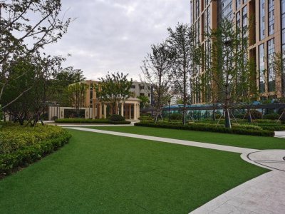 ​青岛房价真的要跌到白菜价吗