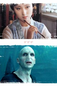 ​「林黛玉伏地魔」是什么梗｜这两人谈恋爱就跟伏黛CP一样难以置信