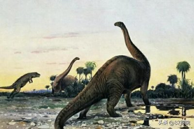 ​雷龙白垩纪最强壮的恐龙之一