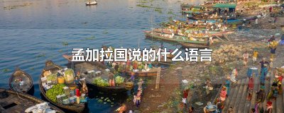 ​孟加拉国说的什么语言