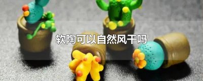 ​软陶可以自然风干吗