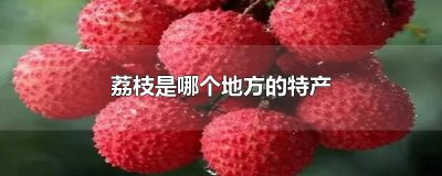 ​荔枝是哪个地方的特产