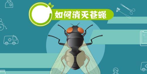 怎样消灭苍蝇