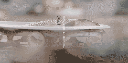 美味来自朴实无华的烹饪（是每一餐食不可或缺的一味料）(2)