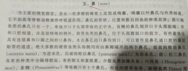 鱼辨别味道的方法,动物都有哪些辨味方法呢图4