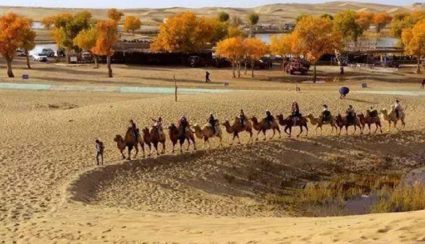 新疆十大旅游景点排行榜 新疆旅游必去风景名胜区