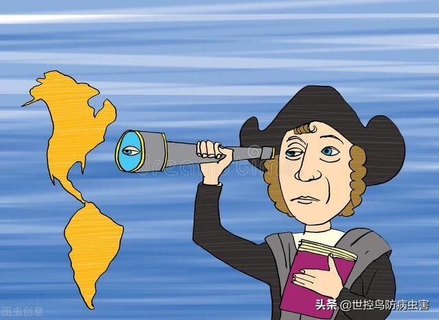 海鸥属于鸟类吗(海鸥是不是候鸟)