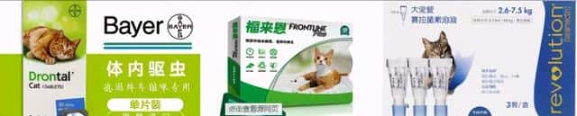 猫三岁等于人年龄多少岁（猫三岁相当于人多少岁）