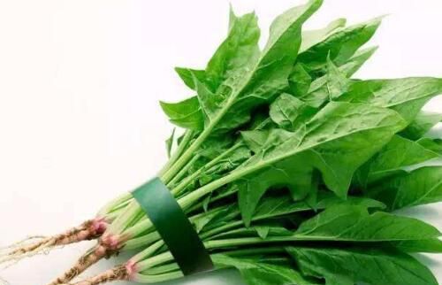 1岁半宝宝可以吃菠菜吗