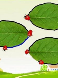 ​什么叫周长(什么叫周长数学三年级下册)