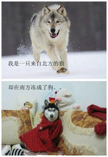 家庭采暖小知识大全(1分钟教你如何选择家庭采暖)(1)