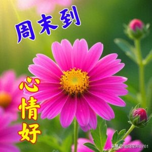 ​最新周末愉快表情包动图，深秋早安问候，祝福快乐安康！
