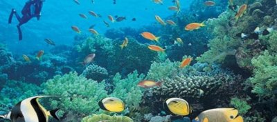 ​海南岛：即将崛起的“第二个香港