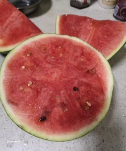 ​西瓜有点酸是不是坏了,西瓜坏了是什么味道的