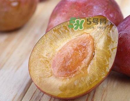 西梅什么时候上市?新疆西梅什么时候上市 西梅什么时候上市?新疆西梅什么时候上市