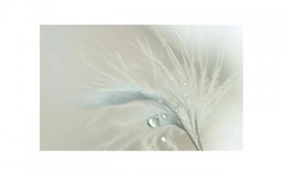 ​如何对女生说今天我想你了的话，怎么对一个女人说我想你了