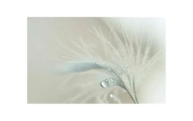 如何对女生说今天我想你了的话,怎么对一个女人说我想你了 如何对女生说今天我想你了的话,怎么对一个女人说我想你了