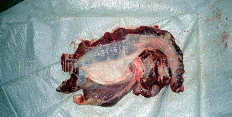 罗汉肉为啥叫罗汉肉