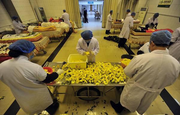 入殓师这个职业是干什么的(入殓师是什么样的职业)(5)