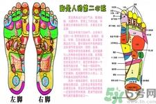 孕妇能用藏红花泡脚吗?藏红花泡脚的功效和作用 孕妇能用藏红花泡脚吗?藏红花泡脚的功效和作用