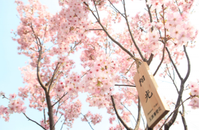 ​闰月的计算方法是什么