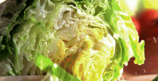 益生元是什么呢(1分钟教你了解益生元)(6)