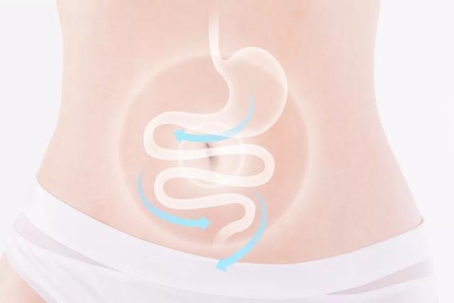 益生元是什么呢(1分钟教你了解益生元)(4)