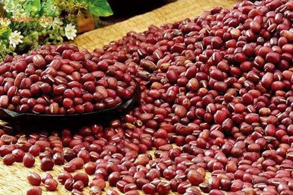 红豆为什么煮不烂 红豆的作用 红豆为什么煮不烂 红豆的作用