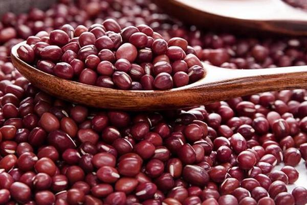 红豆为什么煮不烂 红豆的作用 红豆为什么煮不烂 红豆的作用