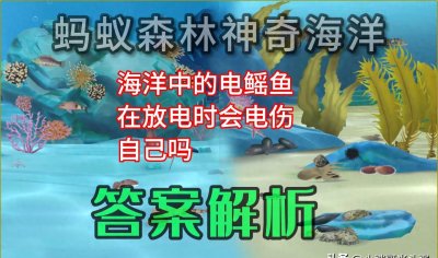 ​电鳐鱼：电击专业户