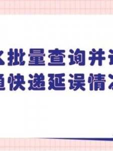 ​中通快递单号怎么看(全国快递查询)