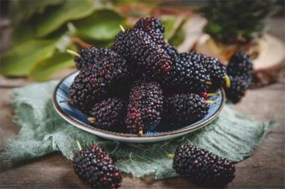 ​坐月子可以吃桑葚吗 坐月子吃桑葚的好处