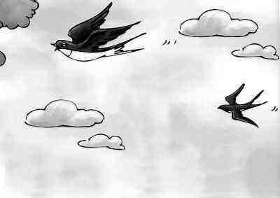 汉语拼音读法儿歌(拼音儿歌大全终于备齐了)(2)