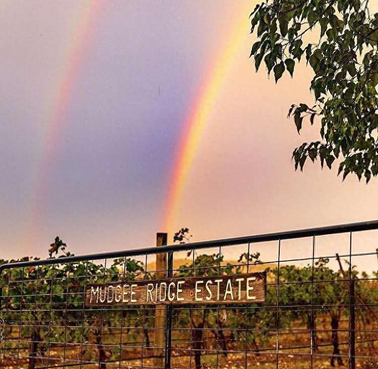 情感图 封面图|热脸贴冷屁股的事情再也不要去做了