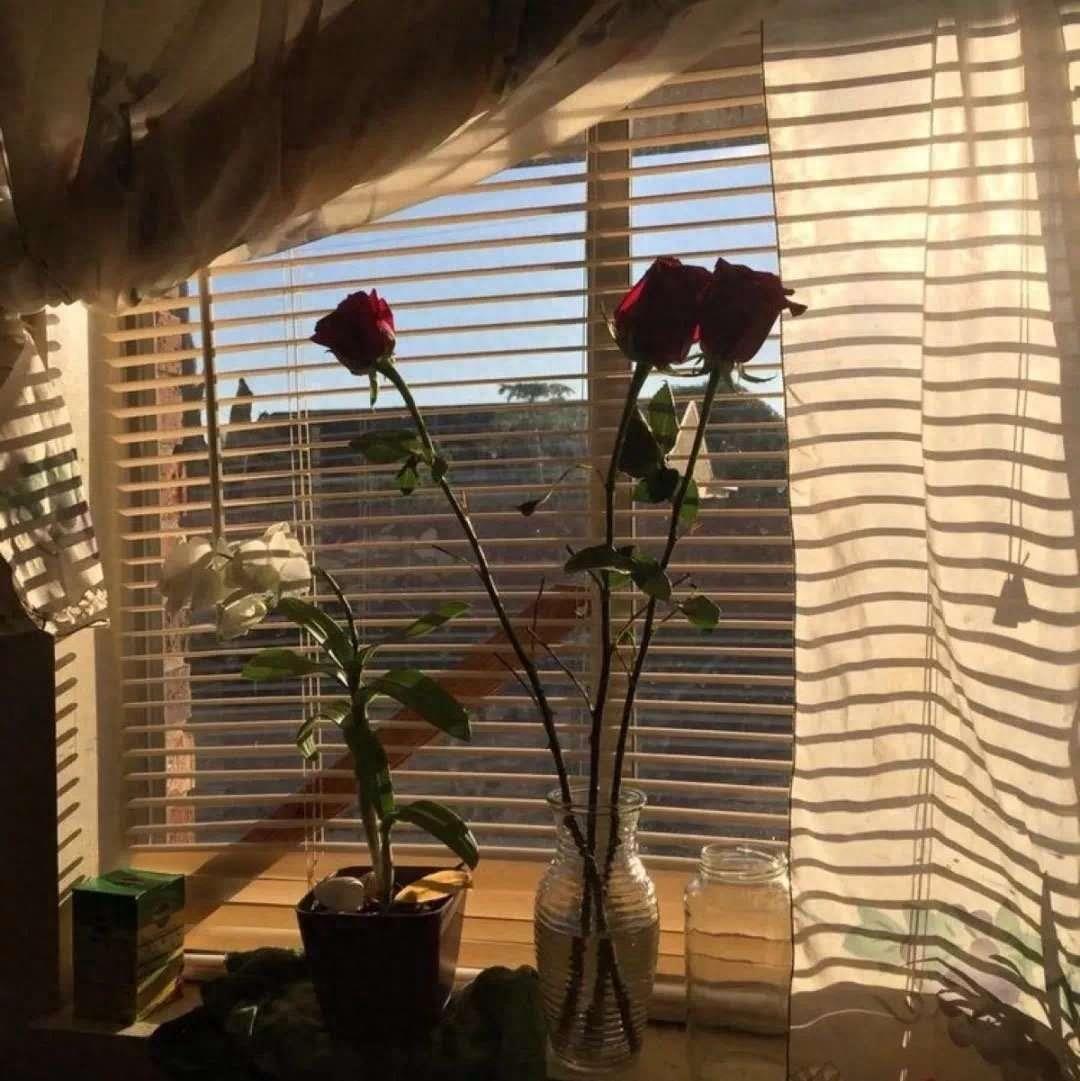 情感图 封面图|热脸贴冷屁股的事情再也不要去做了