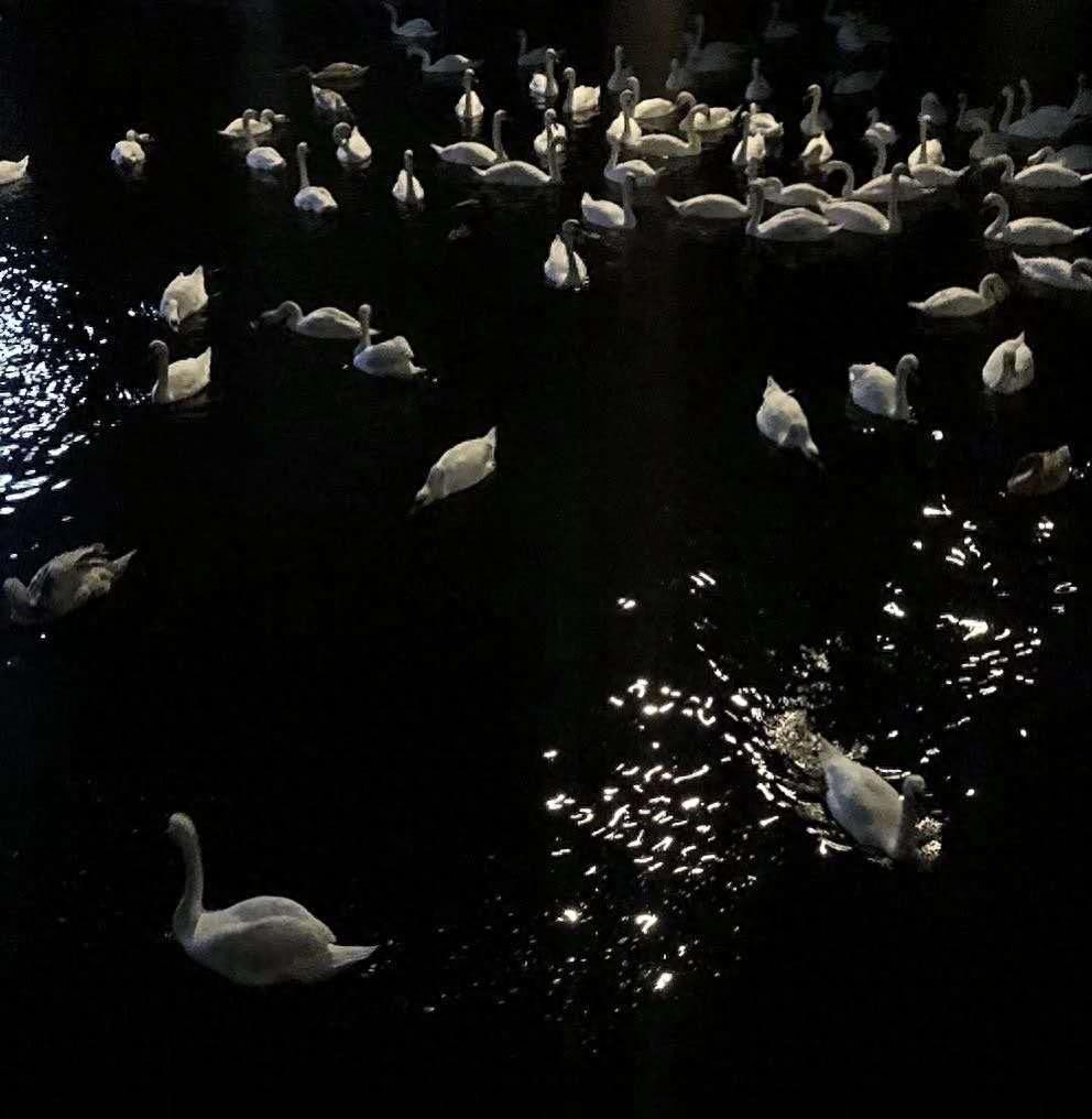 情感图 封面图|热脸贴冷屁股的事情再也不要去做了