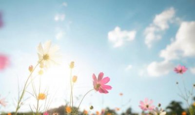 ​零食公摊面积为什么越来越大 如何看待零食公摊面积