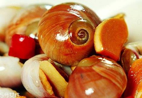 香螺不能和什么一起吃 香螺的食用禁忌