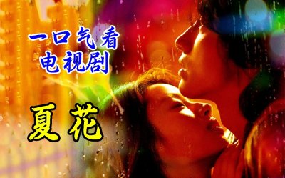 ​夏花剧情介绍(夏花电视剧)