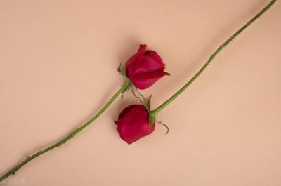 ​中国的七夕节用英语怎么说(中国26个传统节日英文)