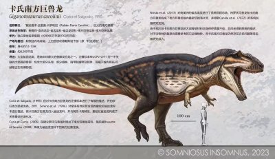 ​南方巨兽龙的复原图