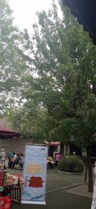 ​正常血小板在血中的寿命 正常的血小板指数