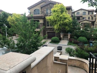 ​瑞雪兆丰年，穿庭作飞花