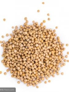 ​白芥子的别名(白芥子的别名叫什么)